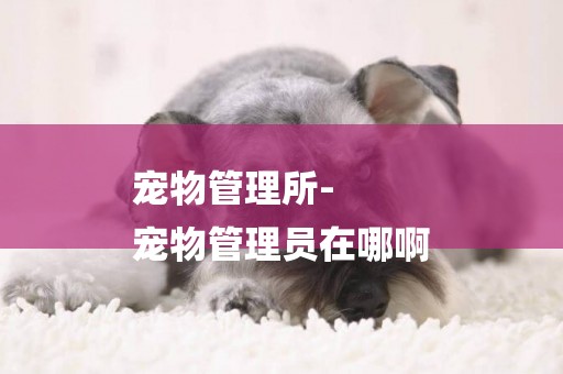 寵物管理所-
寵物管理員在哪啊
