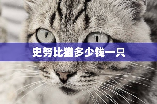 史努比貓多少錢一只