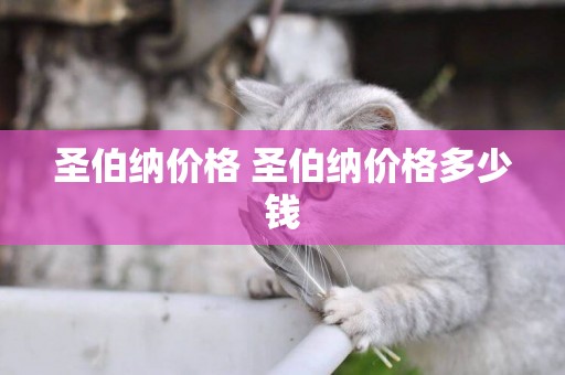 圣伯納價格 圣伯納價格多少錢