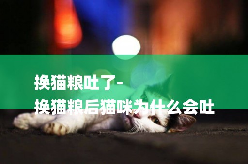 換貓糧吐了-
換貓糧后貓咪為什么會吐