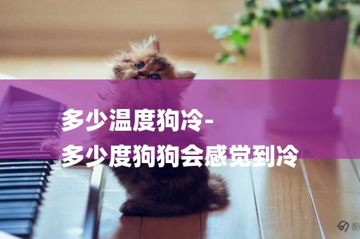 多少溫度狗冷-
多少度狗狗會感覺到冷