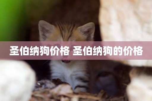 圣伯納狗價格 圣伯納狗的價格
