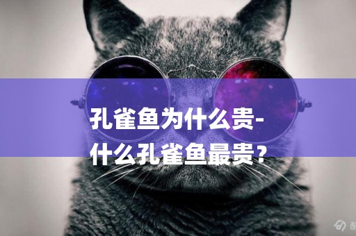 孔雀魚為什么貴-
什么孔雀魚最貴？