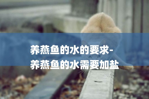 養燕魚的水的要求-
養燕魚的水需要加鹽