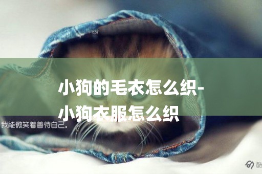 小狗的毛衣怎么織-
小狗衣服怎么織