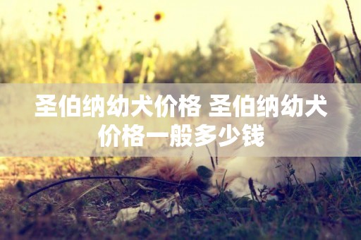 圣伯納幼犬價格 圣伯納幼犬價格一般多少錢