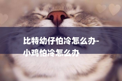 比特幼仔怕冷怎么辦-
小雞怕冷怎么辦