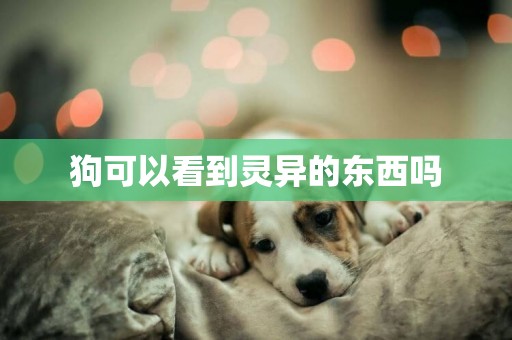 狗可以看到靈異的東西嗎
