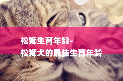 松獅生育年齡-
松獅犬的最佳生育年齡