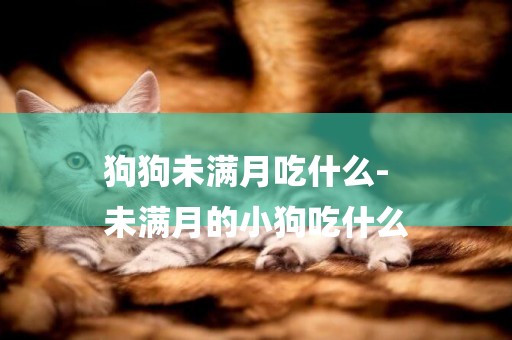 狗狗未滿月吃什么-
未滿月的小狗吃什么