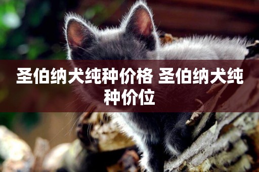 圣伯納犬純種價格 圣伯納犬純種價位