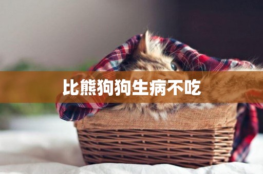 比熊狗狗生病不吃