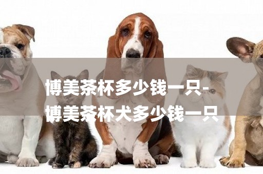博美茶杯多少錢一只-
博美茶杯犬多少錢一只
