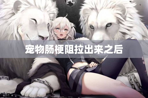 寵物腸梗阻拉出來之后