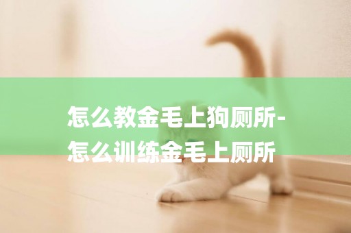 怎么教金毛上狗廁所-
怎么訓練金毛上廁所