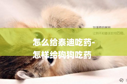 怎么給泰迪吃藥-
怎樣給狗狗吃藥