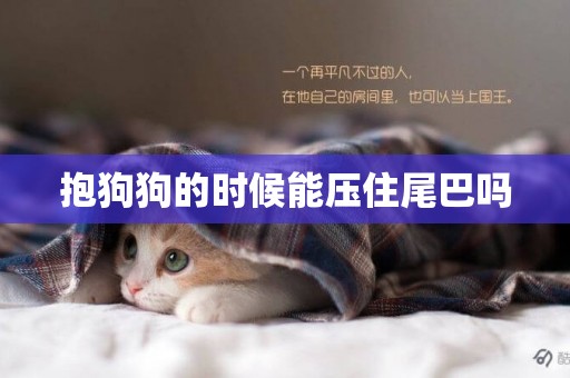 抱狗狗的時候能壓住尾巴嗎