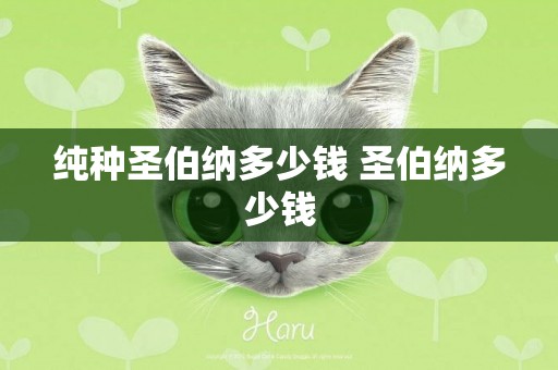 純種圣伯納多少錢 圣伯納多少錢