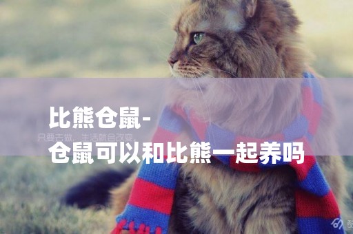 比熊倉鼠-
倉鼠可以和比熊一起養嗎