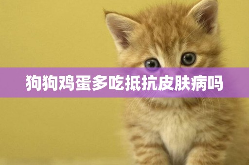 狗狗雞蛋多吃抵抗皮膚病嗎