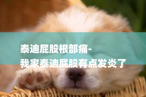 泰迪屁股根部痛-
我家泰迪屁股有點發炎了
