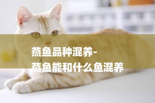 燕魚品種混養-
燕魚能和什么魚混養