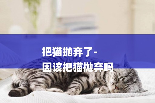把貓拋棄了-
因該把貓拋棄嗎