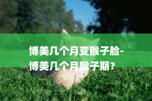 博美幾個月變猴子臉-
博美幾個月猴子期？