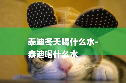 泰迪冬天喝什么水-
泰迪喝什么水