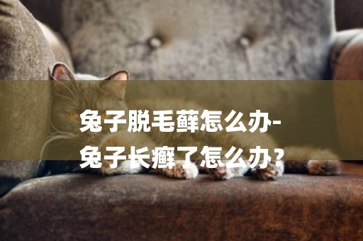 兔子脫毛蘚怎么辦-
兔子長癬了怎么辦？