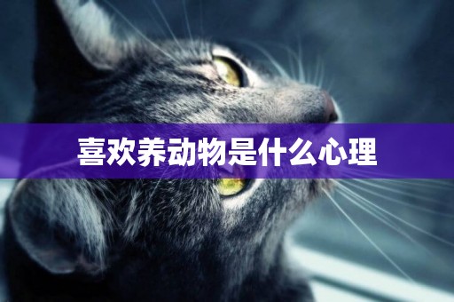 喜歡養動物是什么心理