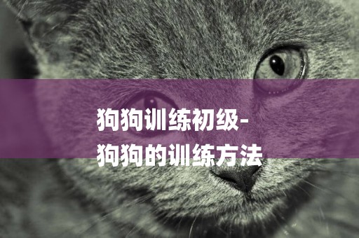 狗狗訓練初級-
狗狗的訓練方法