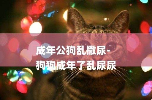 成年公狗亂撒尿-
狗狗成年了亂尿尿