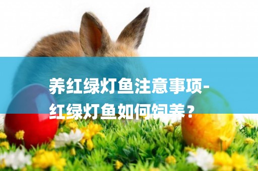 養紅綠燈魚注意事項-
紅綠燈魚如何飼養？