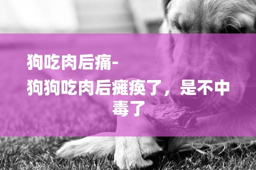 狗吃肉后痛-
狗狗吃肉后癱瘓了，是不中毒了