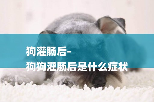 狗灌腸后-
狗狗灌腸后是什么癥狀