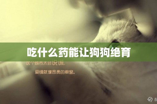 吃什么藥能讓狗狗絕育