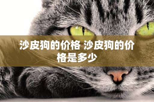 沙皮狗的價格 沙皮狗的價格是多少