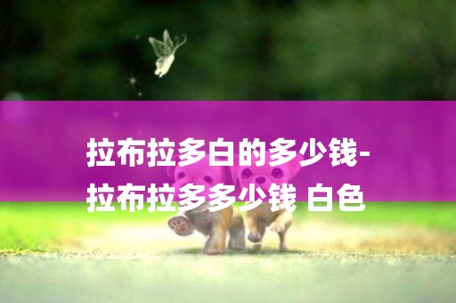 拉布拉多白的多少錢-
拉布拉多多少錢 白色