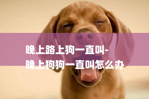 晚上路上狗一直叫-
晚上狗狗一直叫怎么辦
