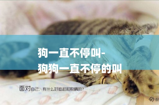狗一直不停叫-
狗狗一直不停的叫