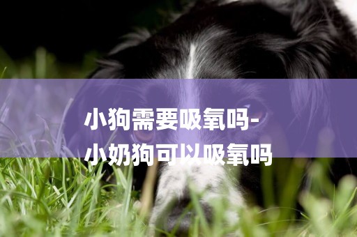 小狗需要吸氧嗎-
小奶狗可以吸氧嗎