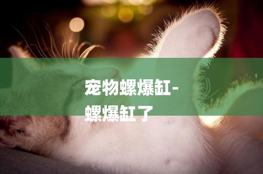 寵物螺爆缸-
螺爆缸了