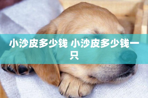 小沙皮多少錢 小沙皮多少錢一只