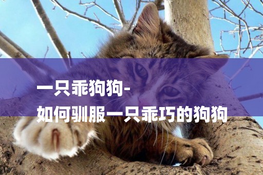 一只乖狗狗-
如何馴服一只乖巧的狗狗