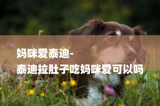 媽咪愛泰迪-
泰迪拉肚子吃媽咪愛可以嗎
