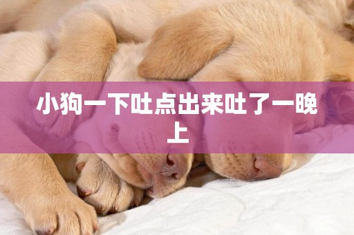 小狗一下吐點出來吐了一晚上