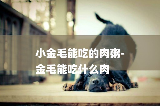 小金毛能吃的肉粥-
金毛能吃什么肉