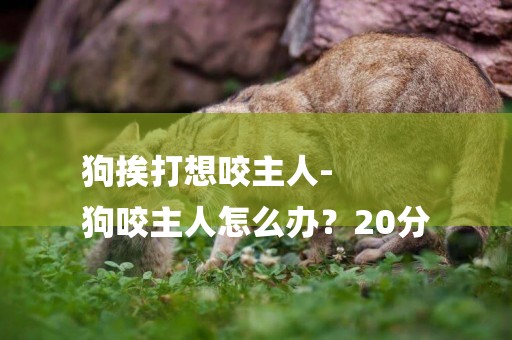 狗挨打想咬主人-
狗咬主人怎么辦？20分