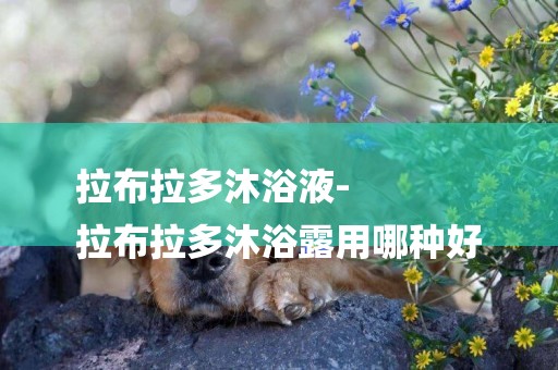拉布拉多沐浴液-
拉布拉多沐浴露用哪種好